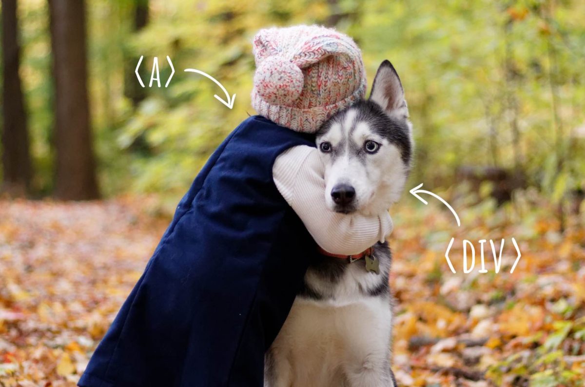Kid hugging a dog. Kid represents tag and dog the tag